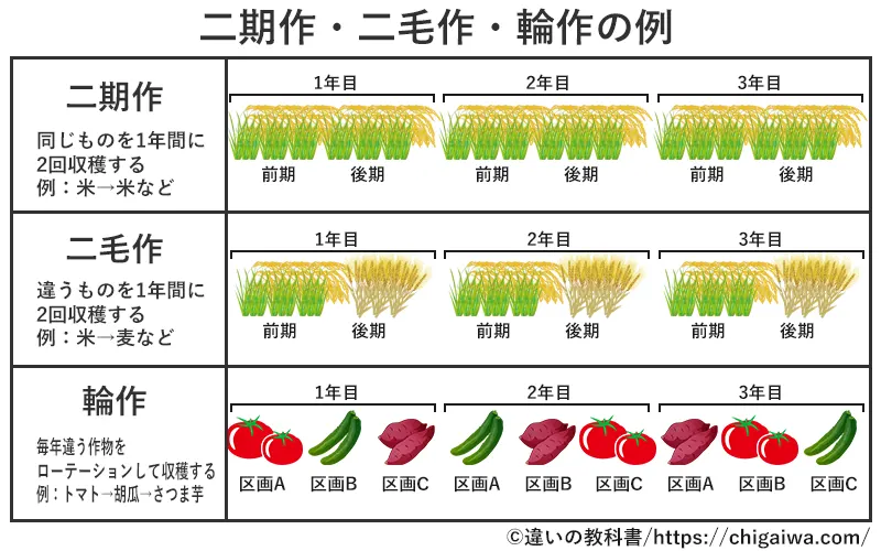 二期作・二毛作・輪作の関係を図解で整理
