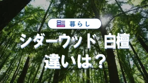 シダーウッドと白檀の違いを徹底解説|香りや効能とお香の選び方