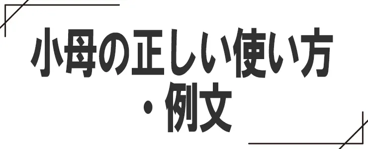小母の正しい使い方・例文