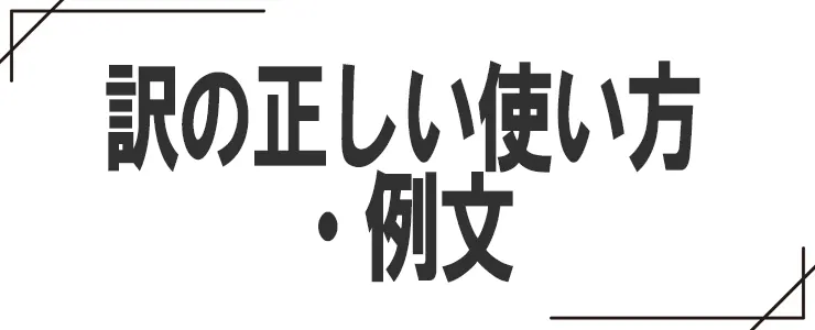 訳の正しい使い方・例文