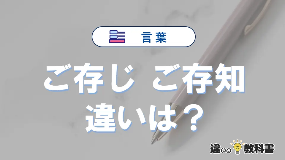 「ご存じ」と「ご存知」の違い｜意味・使い分け・例文