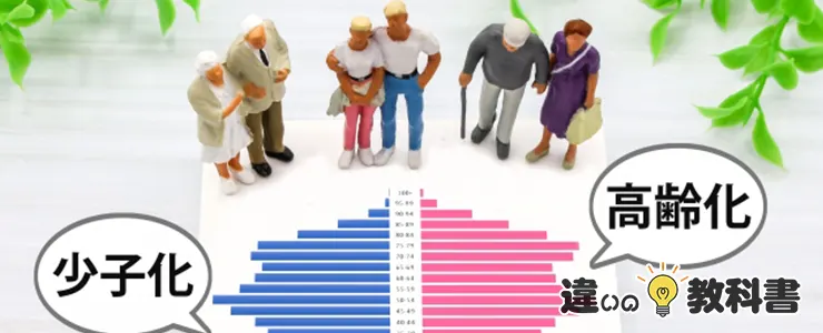 年齢区分の必要性