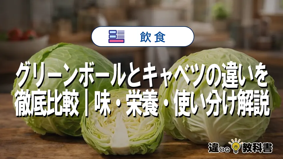 グリーンボールとキャベツの違いを徹底比較｜味・栄養・使い分け解説