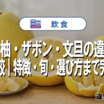 晩白柚・ザボン・文旦の違いを徹底比較｜特徴・旬・選び方まで完全解説