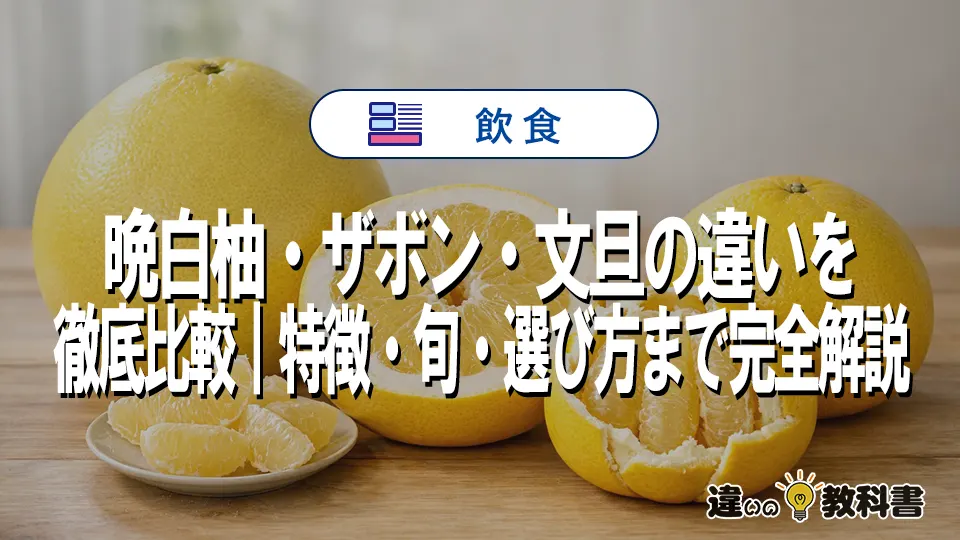 晩白柚・ザボン・文旦の違いを徹底比較｜特徴・旬・選び方まで完全解説