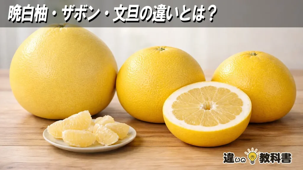晩白柚・ザボン・文旦の違いとは？
