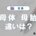 「母体」と「母胎」の違いとは？意味・使い方・例文を徹底解説
