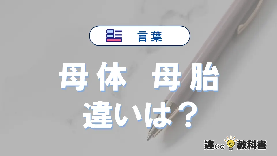 「母体」と「母胎」の違いとは?意味・使い方・例文を徹底解説