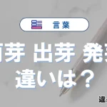 【萌芽・出芽・発芽】の違いを比較｜意味・語源・使い方
