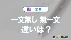 【一文無し】と【無一文】の違いとは？意味・使い分けを例文付きで解説