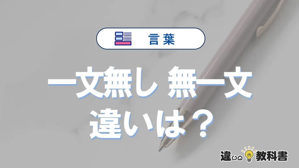 【一文無し】と【無一文】の違いとは？意味・使い分けを例文付きで解説