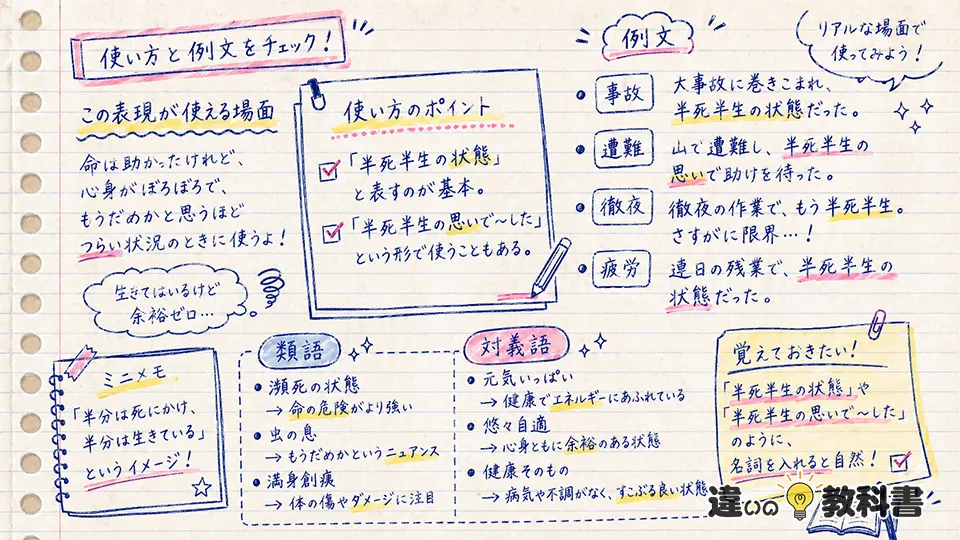 半死半生の意味と使い方を例文で身につける