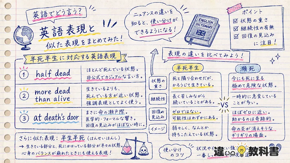 半死半生の意味を英語や似た表現との違いで深める