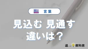 「見込む」と「見通す」の違いが3分でわかる！意味と使い分け解説