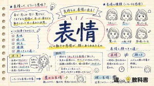 表情（ひょうじょう）の意味や使い方【図解Note】