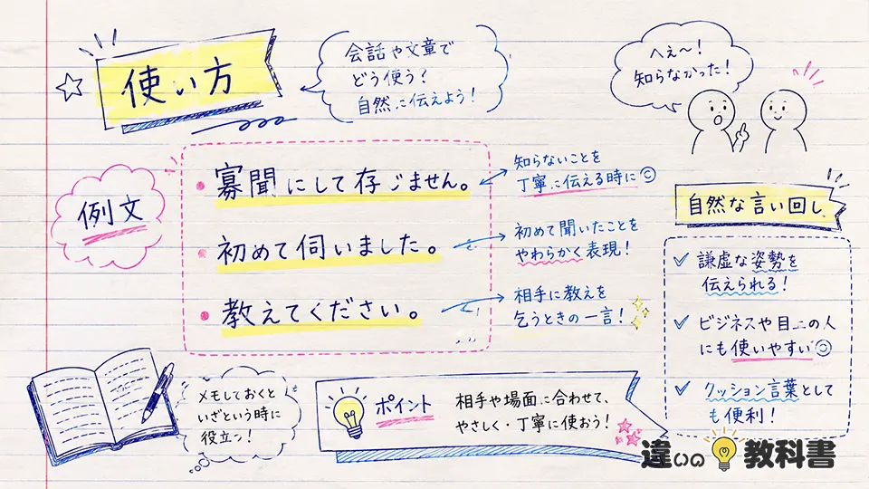 寡聞の意味を踏まえた例文と自然な言い回し