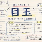 目玉（めだま）の意味や使い方【図解Note】