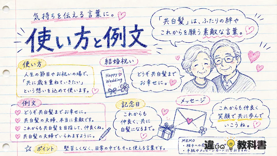 共白髪の意味が伝わる使い方と例文