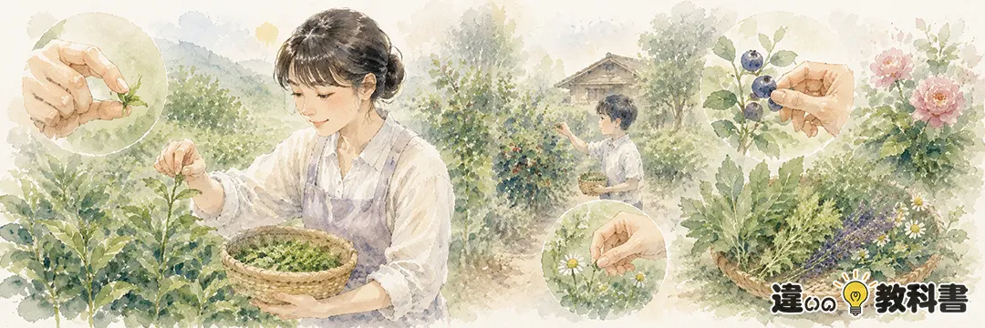 摘むの意味をしっかり押さえる