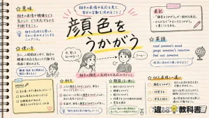 顔色（かおいろ）をうかがうの意味や使い方【図解Note】