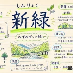 新緑（しんりょく）の意味や使い方【図解Note】