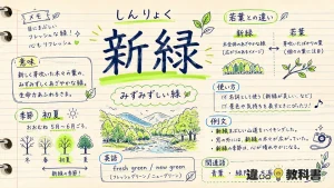 新緑(しんりょく)の意味や使い方【図解Note】