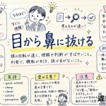 「目から鼻に抜ける」の意味や使い方【図解Note】