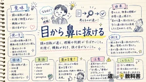 「目から鼻に抜ける」の意味や使い方【図解Note】