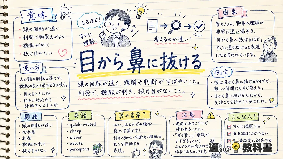 「目から鼻に抜ける」の意味や使い方【図解Note】