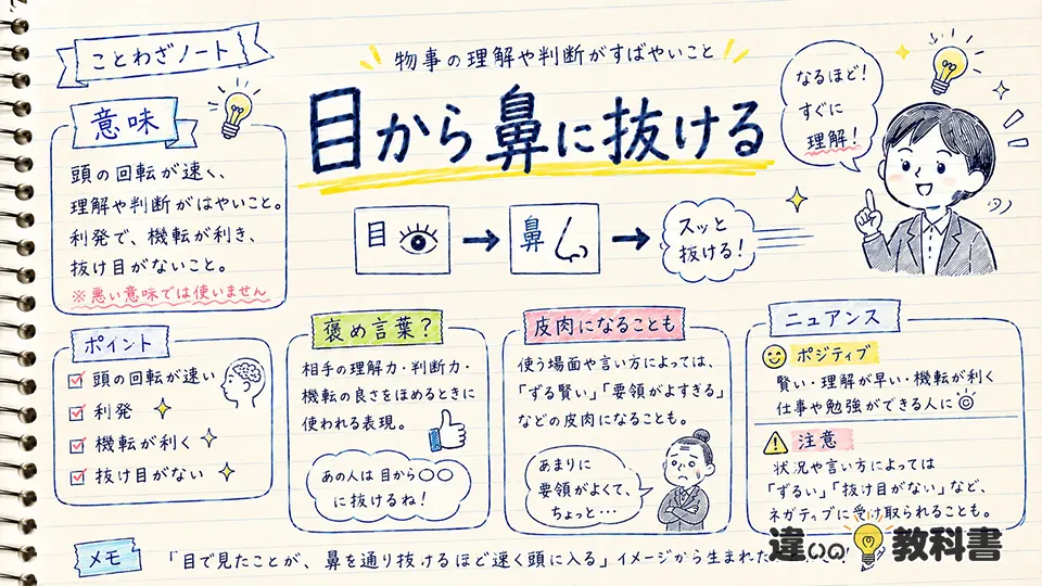 目から鼻に抜けるの意味をわかりやすく解説