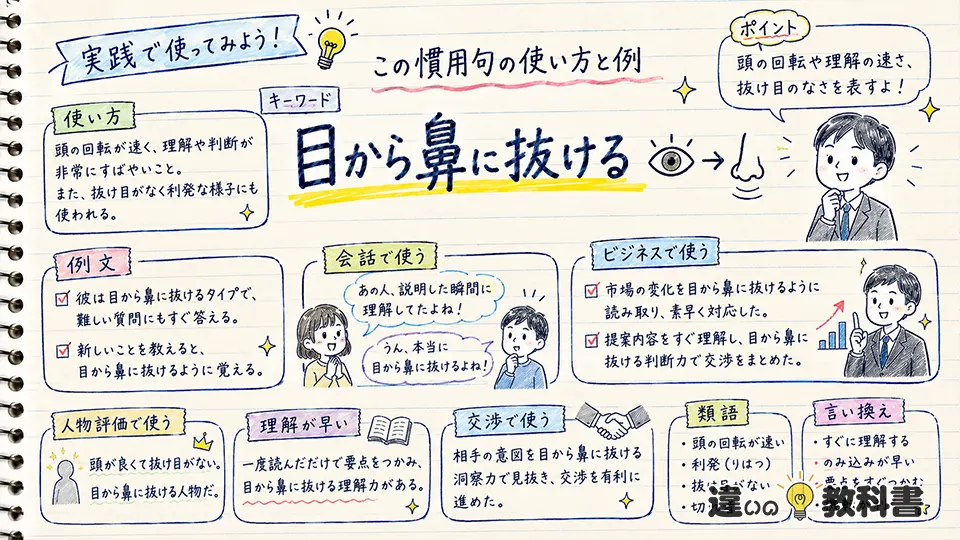 目から鼻に抜けるの意味が伝わる使い方・例文