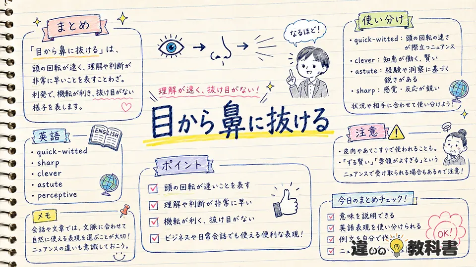 目から鼻に抜けるの意味を深く理解する英語表現とまとめ