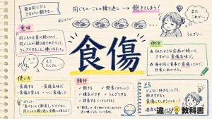 食傷（しょくしょう）の意味や使い方【図解Note】