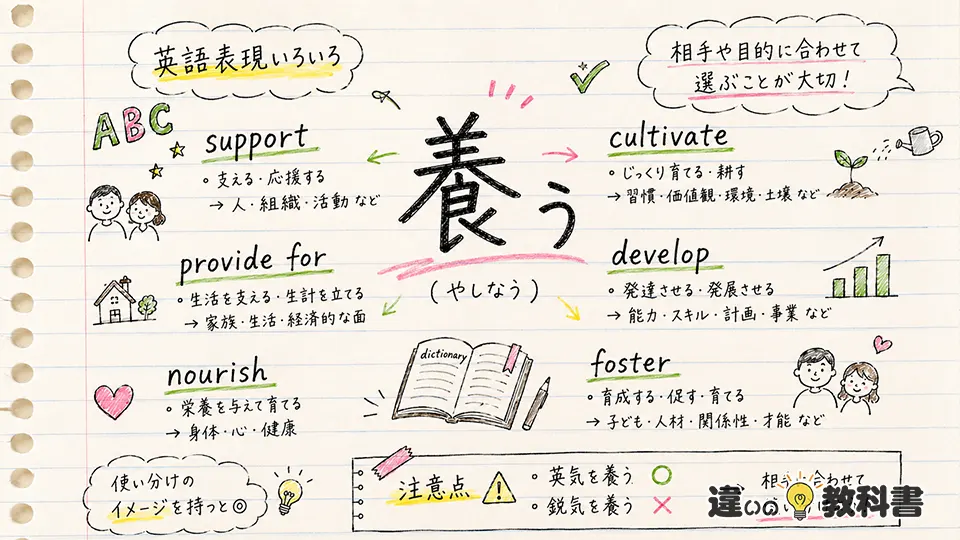 養うの意味を英語表現と注意点から理解する