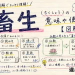 畜生（ちくしょう）の意味や使い方