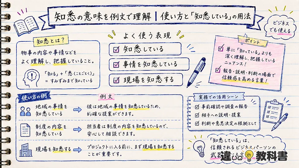 知悉の意味を例文で理解｜使い方と「知悉している」の用法