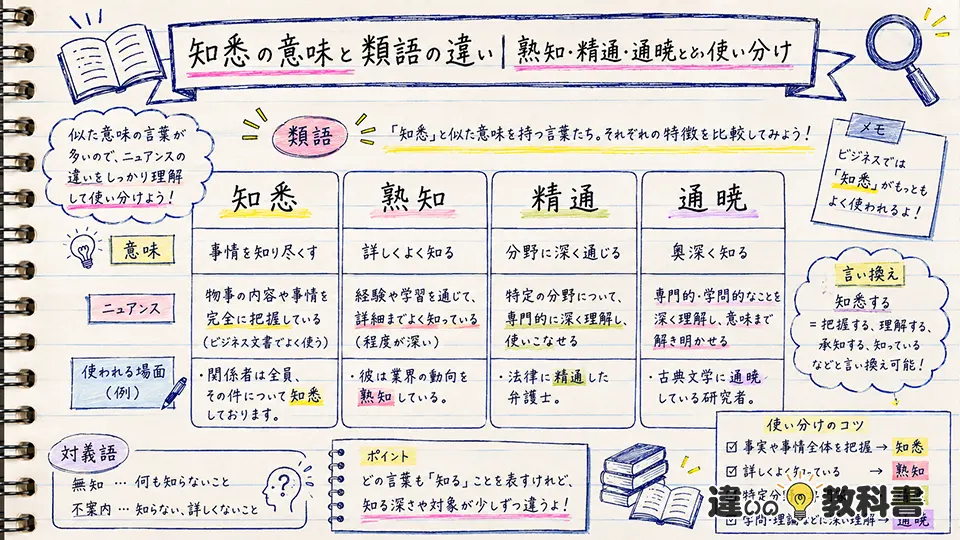 知悉の意味と類語の違い｜熟知・精通・通暁との使い分け