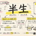 半生（はんせい・はんなま）の意味や使い方【図解Note】
