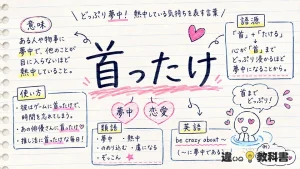 首ったけ（くびったけ）の意味や使い方【図解Note】