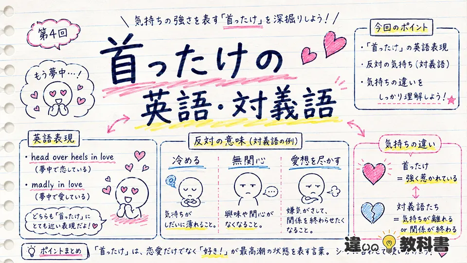 首ったけの意味を英語・対義語からさらに深く理解する