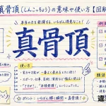 真骨頂（しんこっちょう）の意味や使い方【図解Note】