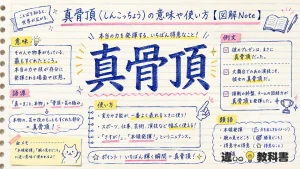 真骨頂(しんこっちょう)の意味や使い方【図解Note】