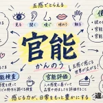 官能（かんのう）の意味や使い方【図解Note】
