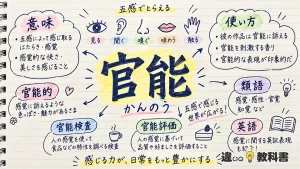 官能（かんのう）の意味や使い方【図解Note】