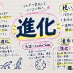 進化（しんか）の意味や使い方【図解Note】