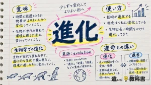 進化（しんか）の意味や使い方【図解Note】
