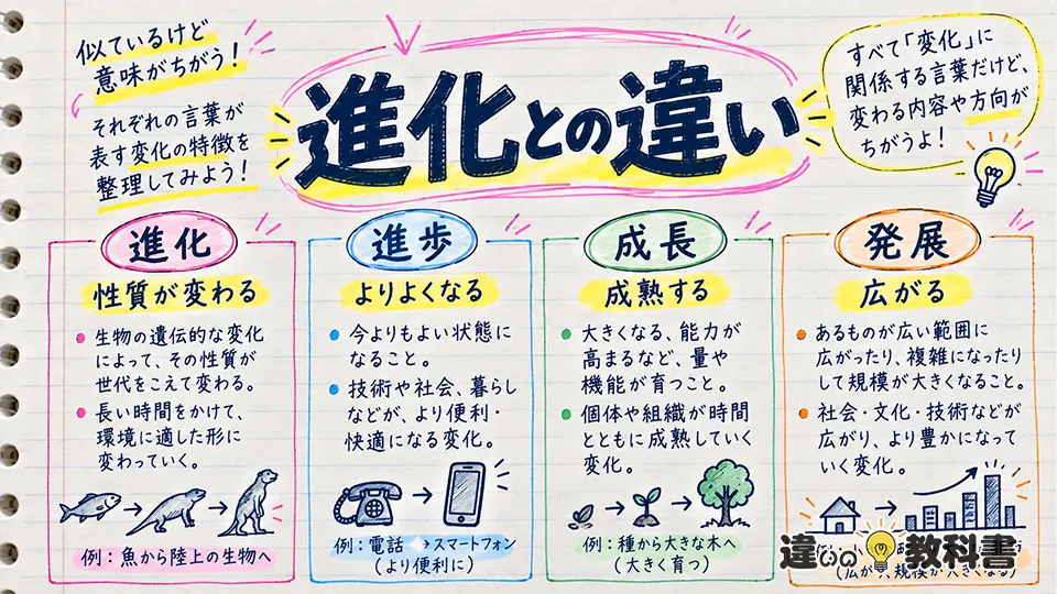 進化の意味と進歩・成長・発展との違い
