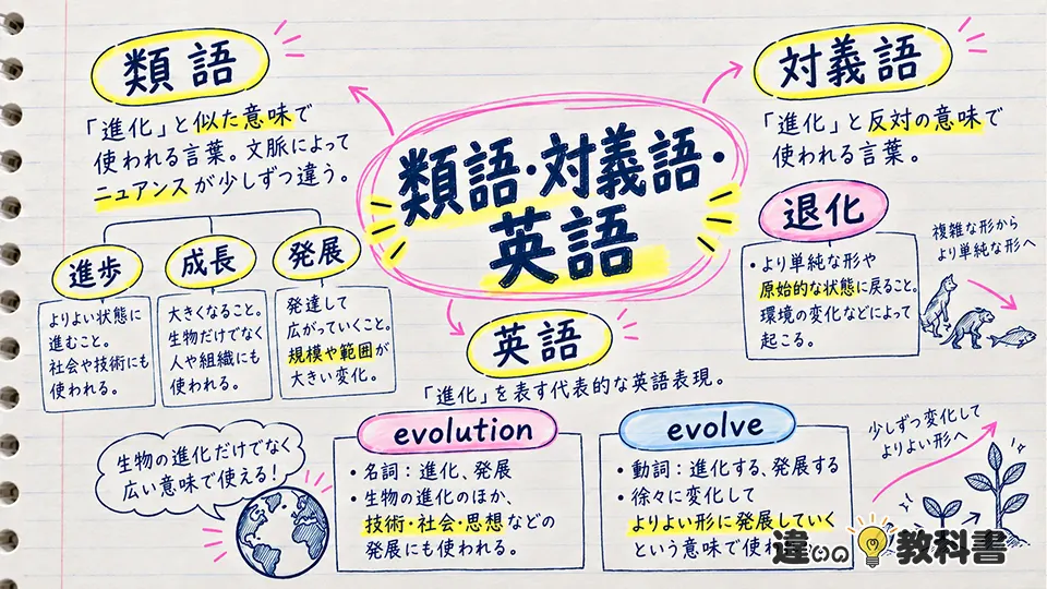 進化の意味からわかる類語・対義語・英語表現